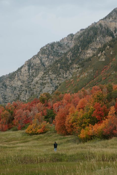 Fall In Utah, Autumn Nature Aesthetic, Polymath Aesthetic, Fall Aethestic, Utah Autumn, Fall Fashion College, Fall Season Aesthetic, Fashion Trends Aesthetic, Fall In The Mountains