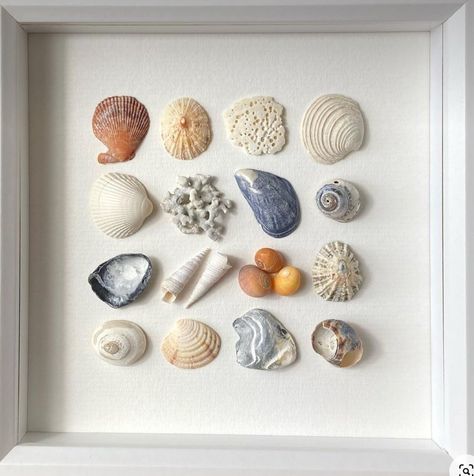 Seashell Art Diy, Cuadros Diy, Art Coquillage, Seashell Wall Art, Island Theme, Shell Crafts Diy, The Last Drop, Shell Decor, Sea Glass Crafts