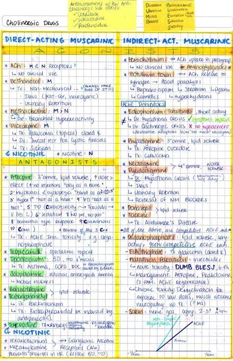 Cholinergic Receptors, Muscarinic Receptors, Pharmacology Mnemonics, Nursing Pharmacology, Np School, Usmle Step 1, Mcat Study, Medical Graduate, Medical Notes