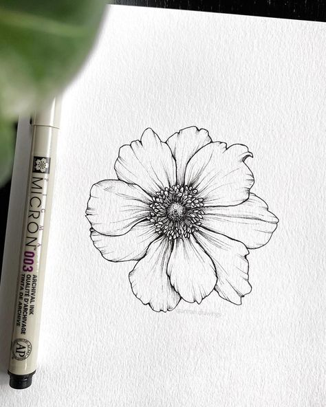 Rik Lee, Micron Pen Art, Weekend Wishes, Deco Surf, Fineliner Art, Doodle Art Flowers, Poppies Tattoo, Flower Drawing Tutorials, Black And White Illustrations