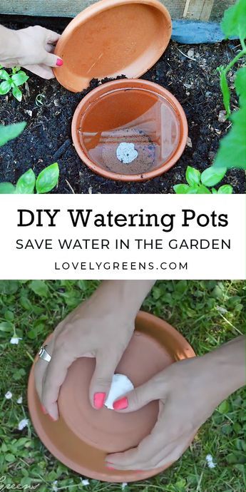 نباتات منزلية, Terracotta Plant Pots, Diy Water, Garden Yard Ideas, Self Watering, Garden Bed, Veggie Garden, Garden Stuff, Terracotta Pots