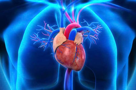 Human Heart Wallpaper, Heart Surgery Recovery, Penyakit Jantung, Heart Valves, Open Heart Surgery, Desktop Background Pictures, Heart Function, Atrial Fibrillation, Easter Wallpaper