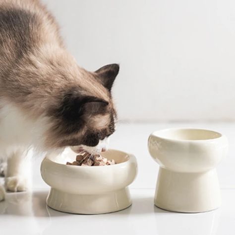 Get the purrfect bowl for your pet's dining pleasure, only on Amazon. Cat Ceramic Bowl, Pottery Cat Bowl, Ceramic Cat Bowls, Minimalist Ceramics, Ceramic Cat Bowl, Cat Pottery, Morandi Color, Pottery Cat, Ceramic Dog Bowl