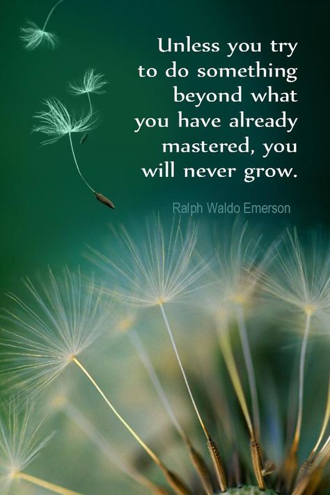 Dandelion Quotes, Waldo Emerson Quotes, Ralph Waldo Emerson Quotes, Emerson Quotes, Motivation Positive, Ralph Waldo Emerson, Quotable Quotes, Do Something, Empowering Quotes