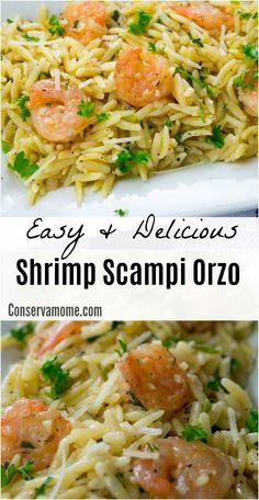 Shrimp Orzo, Baked Shrimp Recipes, Easy Shrimp Scampi, Shrimp Scampi Recipe, Orzo Recipes, Scampi Recipe, Shrimp Dinner, Shrimp Recipes Easy, Shrimp Dishes