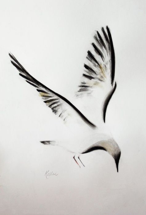 Albatross Drawing, Mr Cartoon Tattoo, Seagull Tattoo, Tribute Tattoos, Sumi E Painting, Bird Drawing, Minimalist Drawing, Tinta China, Charcoal Art