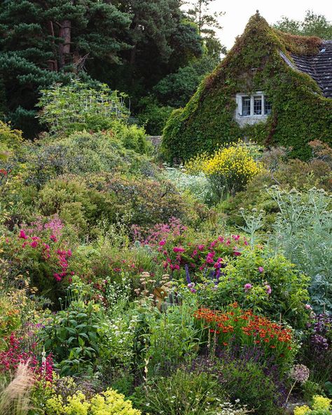 Claire Takacs on Instagram: “A view I always love at @gravetyemanor and how it changes with the seasons...photographed this morning” Claire Takacs, Gravetye Manor, William Robinson, Country Garden Design, Manor Garden, English Country Gardens, Garden Borders, Garden Lovers, The Meadows