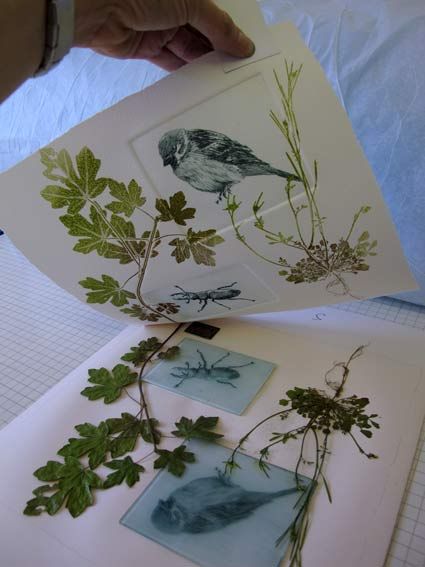 Botanical Printmaking, Monotype Printing, Print Making Designs, Monotype Prints, Print Workshop, Collagraphy, Mono Printing, Dry Point, Mono Print