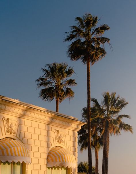 This Legendary Hotel in Cannes Has Just Reopened - The Hotel Trotter Carlton Cannes, France Hotel, Architecture Art Nouveau, Portugal Cities, Tea Lounge, Carlton Hotel, France City, Iron Balcony, Mediterranean Garden