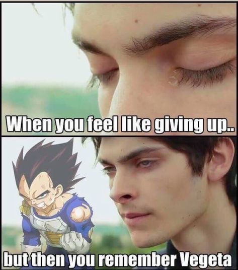 Vegeta Quotes Dragon Ball Motivation, Vegeta Pictures, Vegeta Motivation, Vegeta Quotes, Dbz Quotes, Lord Beerus, Cool Illusions, King Quotes, Dragon Ball Super Artwork