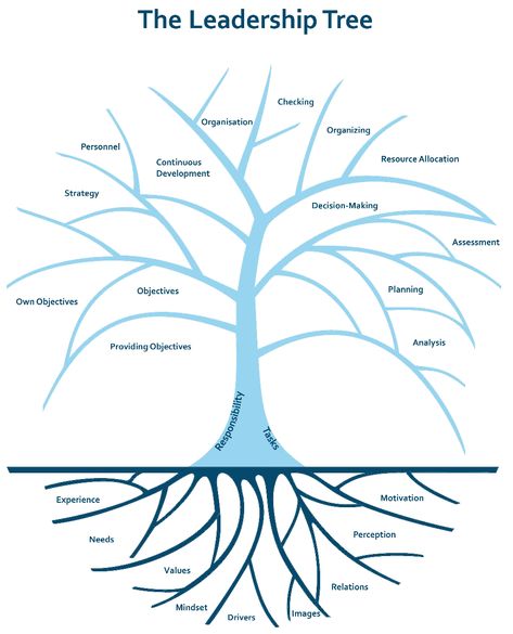 The Leadership Tree: A Leadership Model Conscious Leadership, Leadership Models, Tree Support, Coaching Tools, Oak Tree, Decision Making, Assessment, Leadership, Coaching