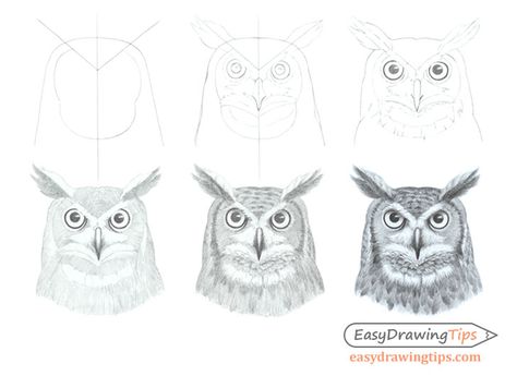 How to Draw an Owl's Face & Head Step by Step - EasyDrawingTips Owl Face Drawing, Owl Drawing Simple, Head Step By Step, Owl Drawing, Owl Face, Owl Head, Face Line Drawing, Drawing Examples, Owls Drawing