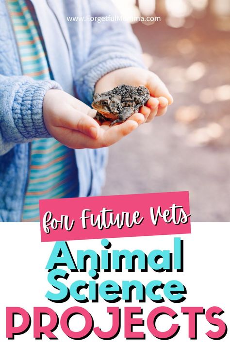 There are some great things out there for kids who are interested in learning more about animals. I have found some great resources for animal science projects for future vets. Science Fair Projects With Dogs, Vet Science Activities, Science Projects Ideas, Animal Science Projects, Animal Science Experiments, Kids Science Fair Projects, Science Fair Experiments, Homeschool Science Curriculum, Animal Activities For Kids