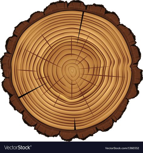 Nature Clipart, Tree Cut, Easy Learning, Cross Section, Safari Theme, Tree Stump, Seamless Pattern Vector, Adobo, Lumberjack