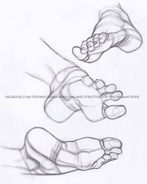 Artistic Anatomy, Stefano Lanza on ArtStation at https://www.artstation.com/artwork/9EyWlN Easy Pencil Drawings, Feet Drawing, Foot Anatomy, Draw Pencil, Easy Things To Draw, Moleskine Art, Charcoal Drawings, Things To Draw, Pencil Drawings Easy