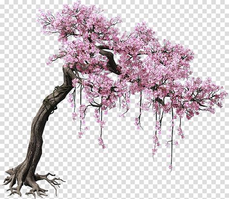 Painting Ideas 2023, Peach Blossom Tree, Cherry Blossom Drawing, Boho Art Painting, Blossom Tree Tattoo, Pink Cherry Blossom Tree, Pink Blossom Tree, Cherry Blossom Watercolor, Cherry Blossoms Illustration