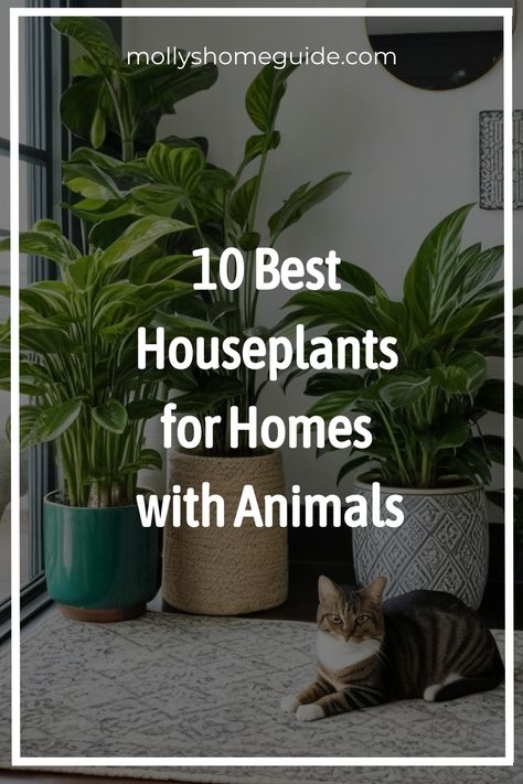 Discover the best indoor plants that are safe for your beloved pets and kids! Whether you're looking for non-toxic options or pet-friendly varieties, this plant guide for pet owners has you covered. From low-light indoor plants to those safe for cats and dogs, explore a variety of options to brighten up your space without worry. Learn about 15 indoor plants that are safe for cats and dogs, as well as 30 best non-toxic indoor plants. Non Toxic Plants For Cats, Cat Friendly House Plants, Cat Friendly Plants, Toxic Plants For Cats, Best Houseplants, Low Light Indoor Plants, Calathea Plant, Easy Pets, Cat Plants