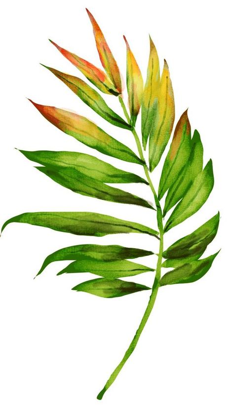 Drawing Pixel Art, Palm Tree Drawing, Leaf Drawing, Flower Art Images, Tropical Art, Tree Drawing, Painted Leaves, Watercolor Leaves, Botanical Drawings