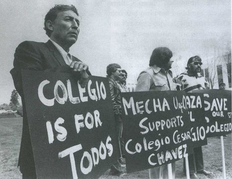 Fighting for Farm Workers' Rights: Cesar Chavez, the Delano Grape ... Chicana Culture, Chicano Movement, Chicano Studies, Latino Pride, Mexican American Culture, Bauhaus Building, Chicano Culture, European Ancestry, Ap Calculus