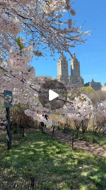 Katie Romero on Instagram: "Here’s how you’re going spend the perfect spring day in New York City. 

#nyc #newyork #newyorkcity #newyorkculture #newyorker #newyorklife #newyorknewyork #spring #cherryblossom #cherryblossoms #newyorkcitylife" Day In New York City, New York Life, March 21, Spring Day, City Life, New Yorker, Cherry Blossom, Bucket List, York City