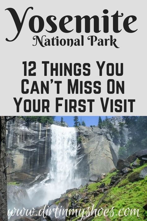 There are so many things to do in Yosemite National Park, but I've narrowed it down to a short list of things you really can't miss. I've also included a bunch of helpful information to help you navigate through Yosemite and make the most of your time. Have a great adventure! Yosemite Vacation, Yosemite Sequoia, Yosemite Trip, Alberta Travel, Vacation 2024, Yosemite Park, Usa Roadtrip, Big Trees, Beautiful California