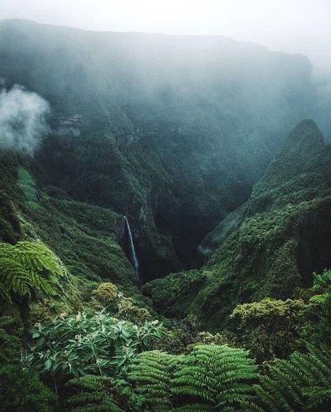 We stand with Hawaii & the native people of Maui … #InMyBeachCandy #BeachCandyOrganics #Maui #HelpMaui Jungle Life, Dream Wedding Decorations, Southwest Art, Foto Ideas Instagram, Be Beautiful, Aesthetic Images, Tropical Vibes, Tropical Islands, Island Life