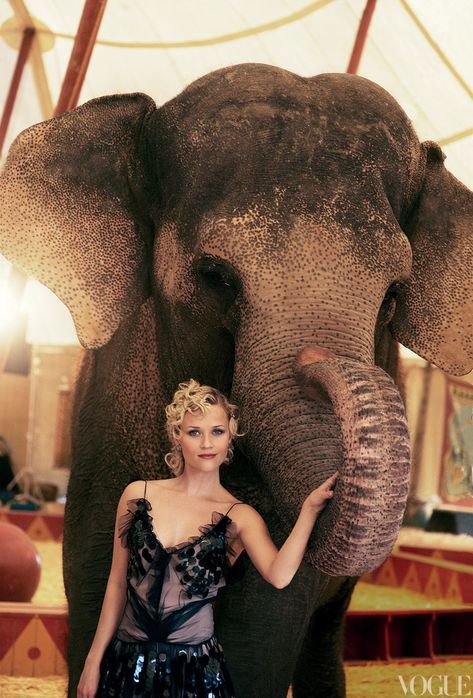 Animal Kingdom: Our Favorite Creatures in Vogue Inspi Photo, Poesia Visual, Dane Dehaan, Water For Elephants, Sneak Attack, Dan Stevens, Pantomime, Peter Lindbergh, Vogue Us