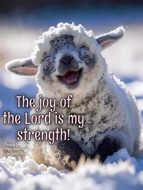 The Joy Of The Lord Is My Strength, The Joy Of The Lord, The Lord Is My Strength, Bible Quotes Images, Ayat Alkitab, My Strength, Christian Pictures, Joy Of The Lord, A Sheep