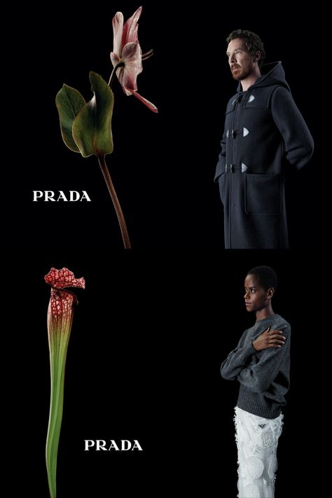 Flower Power Takes Charge in Prada AW 2023 Campaign "In conversation with a flower" by Willy Vanderperre. Iu Reference, Flower Ads Ad Campaigns, Flower Campaign, Prada Advertisement, Prada Editorial Ad Campaigns, Old Prada Campaign, Loewe Ad Campaign, Prada Campaign, Prada Menswear Campaign