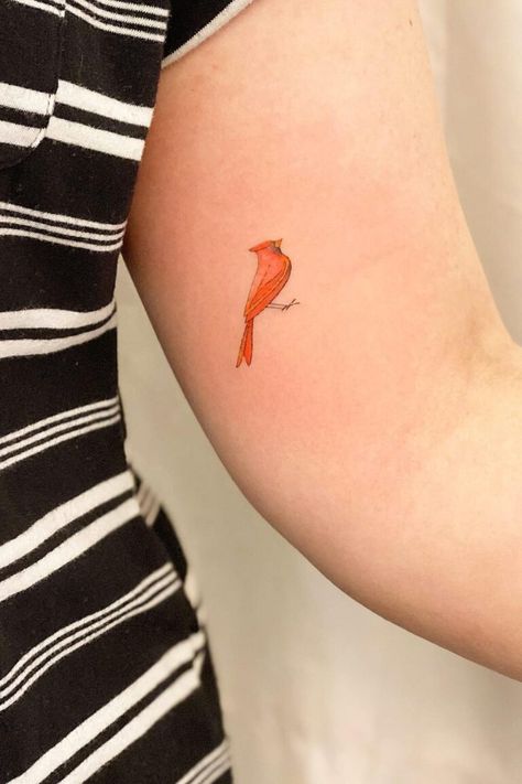 12 Best Small Cardinal Tattoo Ideas Tiny Cardinal Tattoo Memorial, Minimal Cardinal Tattoo, Small Cardinal Tattoos For Women, Cardinal Feathers, Minimalist Cardinal Tattoo, Dainty Cardinal Tattoo, Tiny Cardinal Tattoo, Cardinal Feather Tattoo, Small Cardinal Tattoo Memorial