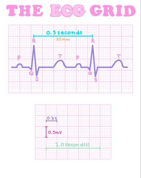 Cardiology Medical Assistant, Cardiology Nurse Practitioner, Cardiac Technician, Ekg Technician Aesthetic, Pa School Aesthetic, Ekg Notes, Medical Notes Aesthetic, Physician Assistant Aesthetic, Medical Assistant Aesthetic