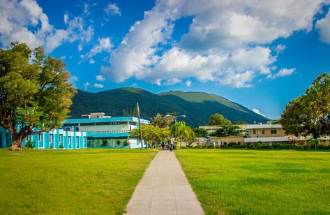 Times Higher Education (THE) has listed the University of the West Indies (UWI) among the top 100 universities in the world. Sir Hilary Beckles, professor, and  Vice-Chancellor at UWI noted the “astounding” performance of the university in being ranked among the world’s best, particularly as it is located in a nation that has not experienced […] The post University of the West Indies Named One of World’s Top 100 Universities appeared first on Jamaicans.com. University Of The West Indies, Tourism Management, Higher Learning, Climate Action, Montego Bay, Antigua And Barbuda, Small Island, West Indies, Undergraduate