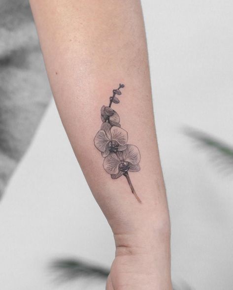 𝕶𝖞𝖑𝖆 𝕽𝖔𝖘𝖊 𝕿𝖆𝖙𝖙𝖔𝖔 on Instagram: “Little orchid for Vanessa . . . #orchidtattoo #flowertattoo #smalltattoo #littletattoo #girlytattoo #cutetattoo #bournemouthtattoo…” Small Orchid Tattoo Design, Small Tattoos Orchid, Tiny Orchid Tattoo, Orchid Tiny Tattoo, Mouth Tattoo, Mum Tattoo, Orchid Tattoo, Thai Tattoo, Forearm Sleeve Tattoos