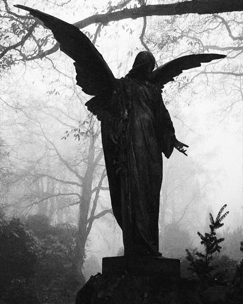 Gothic Academia Aesthetic, Southern Gothic Aesthetic, Gothic Academia, Angel Statues Sculpture, Christian Photography, Traditional Catholicism, Whispers In The Dark, Church Aesthetic, Goth Kids