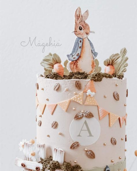 Smash Cake, Vintage Cake, Peter Rabbit, Cake Smash, Aurora, Cake, Birthday, Pink