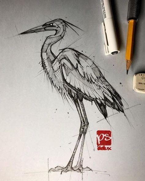 Heron Sketch, Grey Paper, Pencil Drawings Of Animals, Bird Sketch, Animal Drawings Sketches, Paper Pencil, Geometric Drawing, Animal Sketches, Bird Drawings