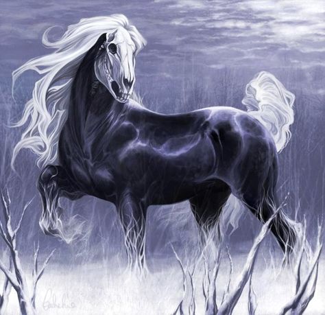 ghost horse Ghost Horse, Night Terrors, Horse Art Drawing, Mythical Monsters, Magical Horses, Mystical Animals, Fantasy Horses, Mythical Animal, Fantasy Beasts