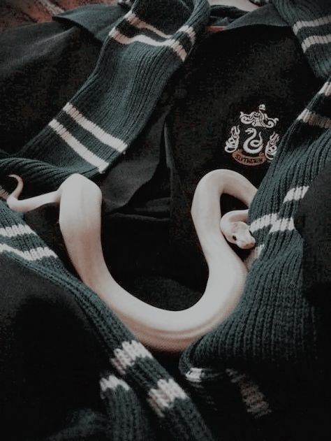 Slytherin Aesthetic Snake, Hp Slytherin Aesthetic, Rich Slytherin Aesthetic, Slytherin Book Aesthetic, Slytherin Pfp Aesthetic, Slytherin Aesthetic Clothes, Hogwarts Slytherin Aesthetic, Slithering Aesthetic, Slytherin Pictures