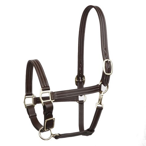 PRICES MAY VARY. Triple-Stitched Leather: Crafted from premium leather with a triple-stitch design for durability and strength, this halter ensures long-lasting performance. Solid Brass Hardware: Featuring solid brass hardware, this halter offers superior corrosion resistance and a touch of elegance. Adjustable Design: With an adjustable design, this halter can accommodate different horse sizes, ensuring a comfortable and secure fit. Fancy Stitching: Adorned with fancy stitching, this halter add Leather Horse Halter, Horse Halter, Stitching Leather, Stitch Design, Brass Hardware, Solid Brass, Equestrian, Stitching, Long Lasting