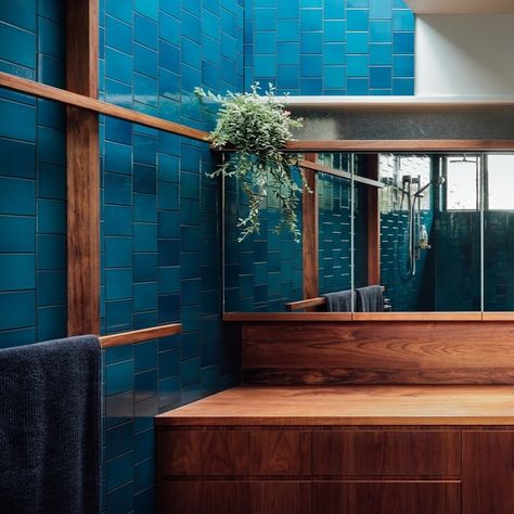 Heath Ceramics's Tile Feed | Under the sea, down under. 💙 This Opal Pacific shower in Brisbane, Australia was completed almost 10 years ago, and stands the test of… | Instagram Heath Ceramics Tile, Heath Ceramics, Brisbane Australia, The Test, Under The Sea, Kitchen And Bath, Brisbane, The Sea, Tile