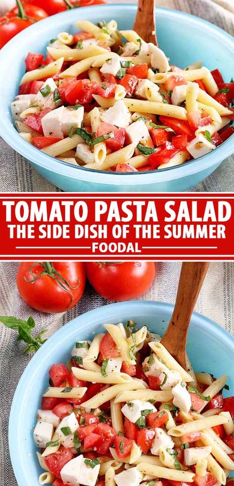 Penne Mozzarella Salad, Ziti Pasta Salad, Penne Pasta Salad, Penne Pasta Salads, Tomato Side Dishes, Basil Pasta Salad, Fresh Basil Recipes, Tomato Mozzarella Salad, Tomato Pasta Salad