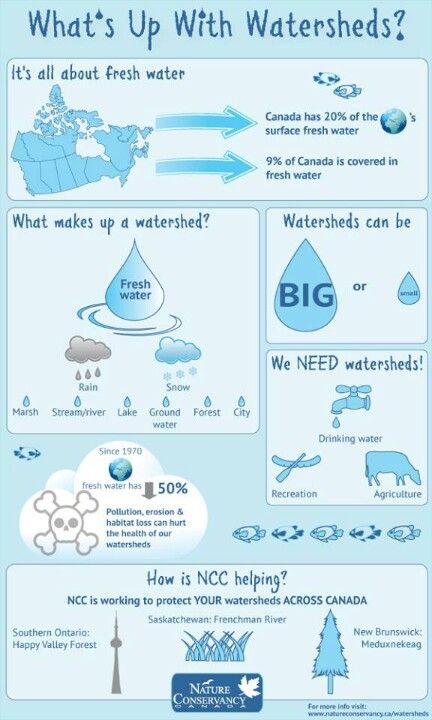 Geography Presentation, Water Engineering, Watershed Management, World Water Day, Outdoor Education, Water Projects, Water Pollution, World Water, Environmental Education