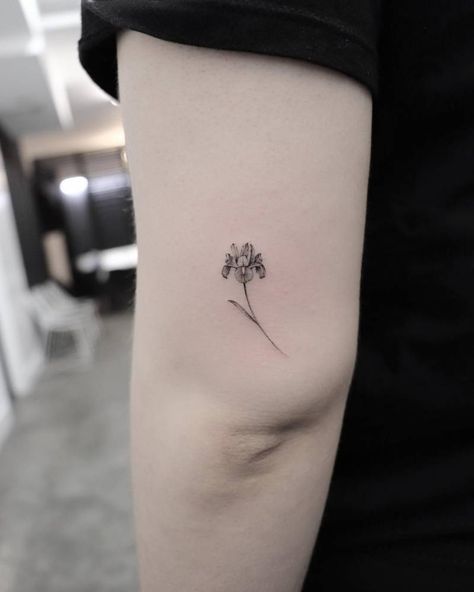 Narcissus Flower Tattoos, Iris Flower Tattoo, Mother Nature Tattoos, Iris Tattoo, Single Needle Tattoo, Mini Tattoo, Make Tattoo, Dainty Tattoos, Flower Tattoo Designs