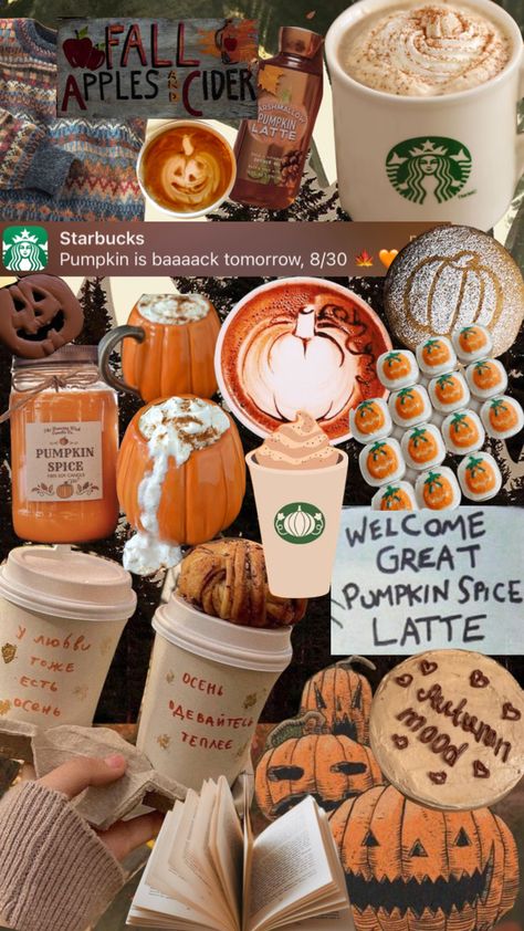 i’m so ready for pumpkin spice!!! #autumn #fall #pumpkin #pumpkinspice #pumpkinszn #halloween #fallaesthetic #autumnaesthetic #starbucks #coffee Fall Wallpaper Starbucks, Starbucks Fall Aesthetic, Pumpkin Spice Wallpaper, Fall Coffee, Starbucks Pumpkin Spice, Satisfying Pictures, Starbucks Pumpkin, Coffee Wallpaper, Autumn Coffee