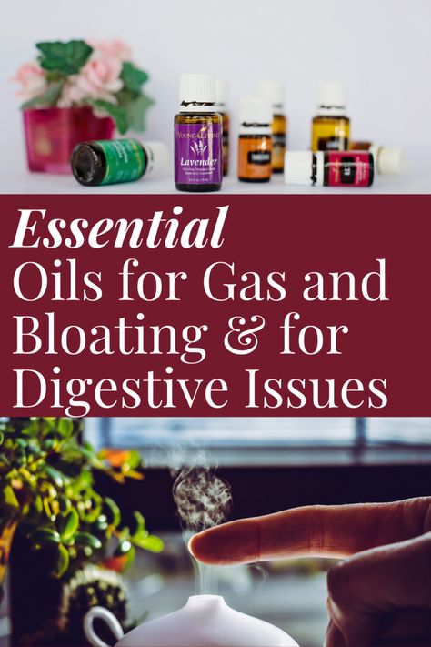 5 Great Essential Oils for Gas and Bloating & as Digestive Aid | Sirasclicks Gas And Bloat Relief, Essential Oils For Gas, Getting Rid Of Gas, Digestive Aid, Diy Medicine, Thyme Essential Oil, Clary Sage Oil, Essential Oils For Pain, Recipes Healthy Breakfast