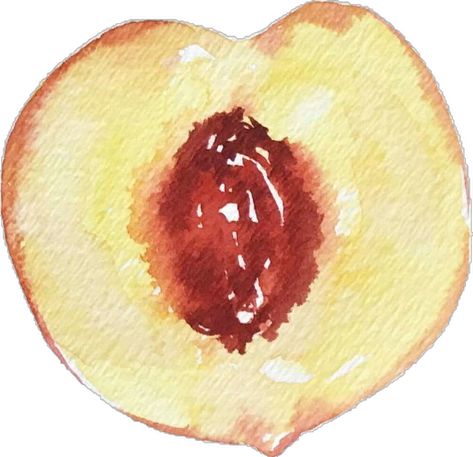 Peach Painting, Peach Paint, Peach Slices, Painting For Beginners, Cross Section, Easy Watercolor, Peaches, Just In Case, Sketch Book