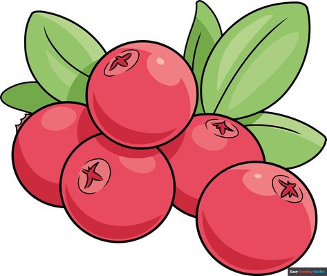 Learn How to Draw a Cranberry: Easy Step-by-Step Drawing Tutorial for Kids and Beginners. See the full tutorial at https://easydrawingguides.com/how-to-draw-a-cranberry/ . Cranberry Drawing, Cranberry Illustration, Berry Drawing, New Drawing Ideas, Fruits Party, Fig Drawing, Draw Nature, Easy Drawing Guides, Drawing Steps