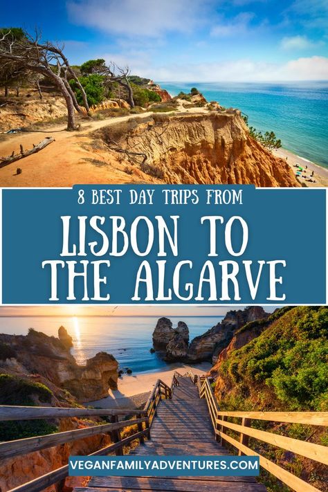 what to do in the algarve portugal, day trip from lisbon to the algarve portugal, road trip to the algarve portugal, where to go in portugal, when to visit portugal Lisbon Travel Guide, Day Trips From Lisbon, Lisbon Travel, Travel Safety, Algarve Portugal, The Best Day, Future Travel, Travel Board, Family Adventure