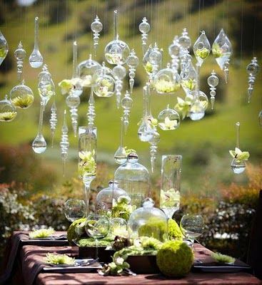 Suspended glass ornaments with moss | Why It Works Wednesday: Suspended Centerpieces & Hanging Decor http://storyboardwedding.com/wedding-suspended-centerpieces-hanging-decor/ Backyard Dinner Party, Outdoor Chandelier, Deco Nature, Bridal Musings, Glass Bauble, Hanging Flowers, Deco Floral, Outdoor Tables, Wedding Planners