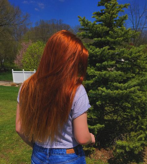 #hairgoals #ginger #redhead #longhair #nature #tumblr #nature Ginger Aesthetic, Hair Growth Natural Hair, Natural Red Hair, Red Hair Inspo, Beautiful Red Hair, Long Red Hair, Redhead Beauty, Auburn Hair, Long Red